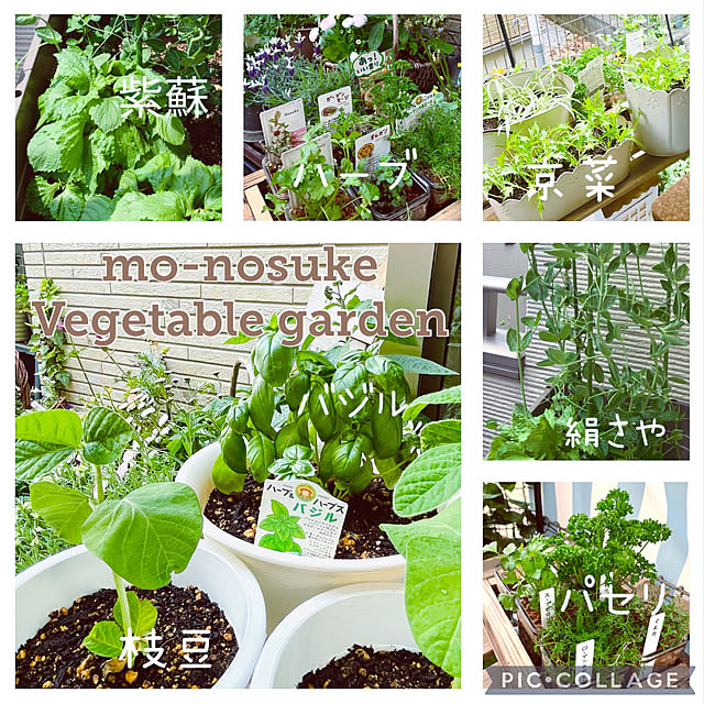 mo-nosukeさんの実例写真