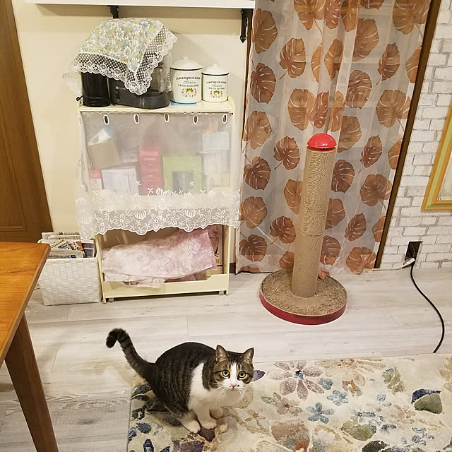 kimiさんの実例写真