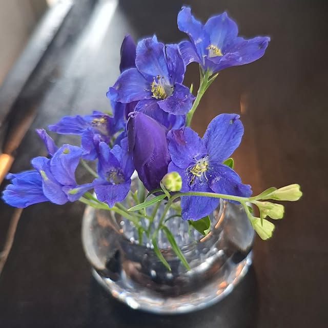 noaさんの部屋