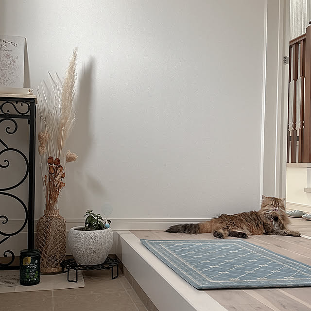 miyu39さんの部屋