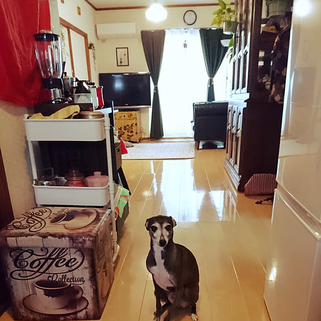 moruさんの実例写真