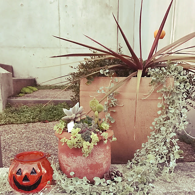 kakorinさんの実例写真