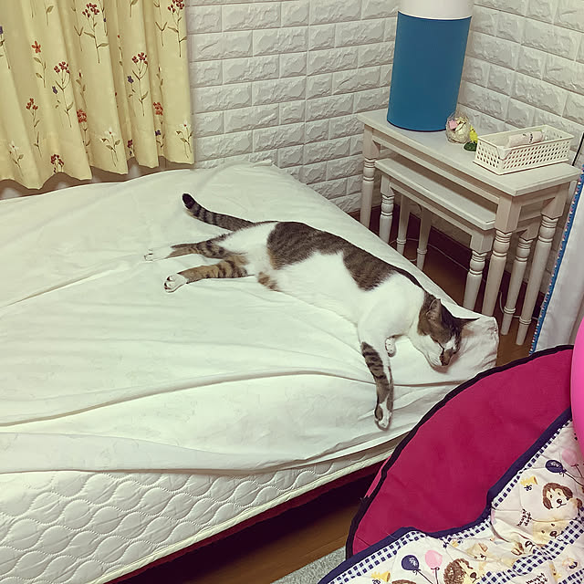 haruminさんの実例写真