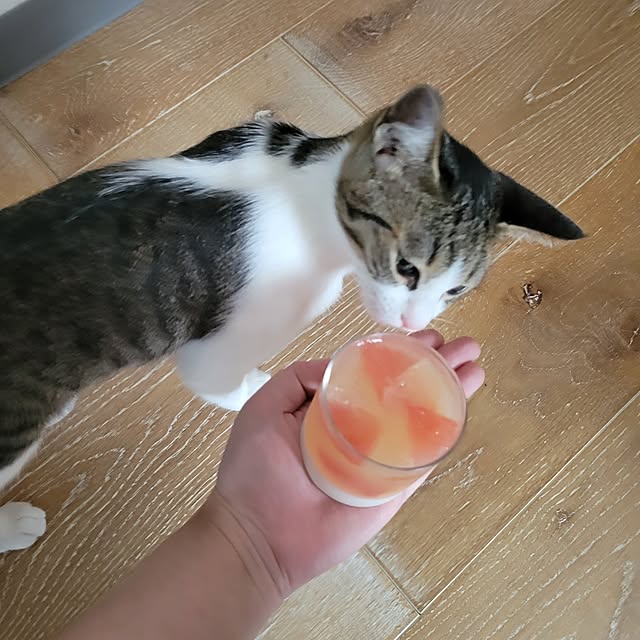 akimameさんの部屋