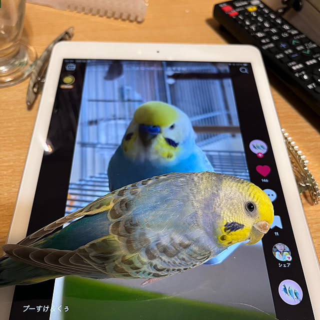 Atsukoさんの部屋