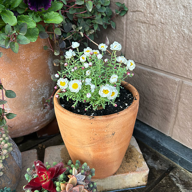 ritsukoさんの部屋