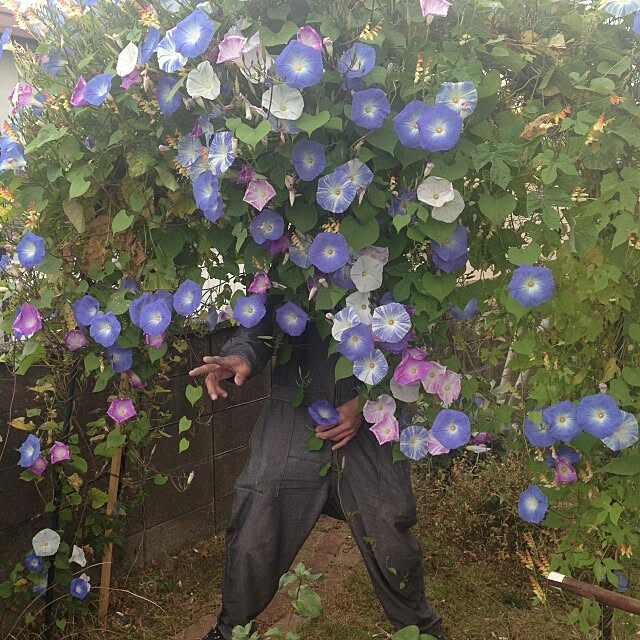 ganamiさんの実例写真