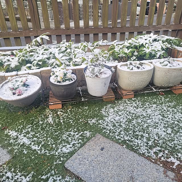 VIORAさんの実例写真