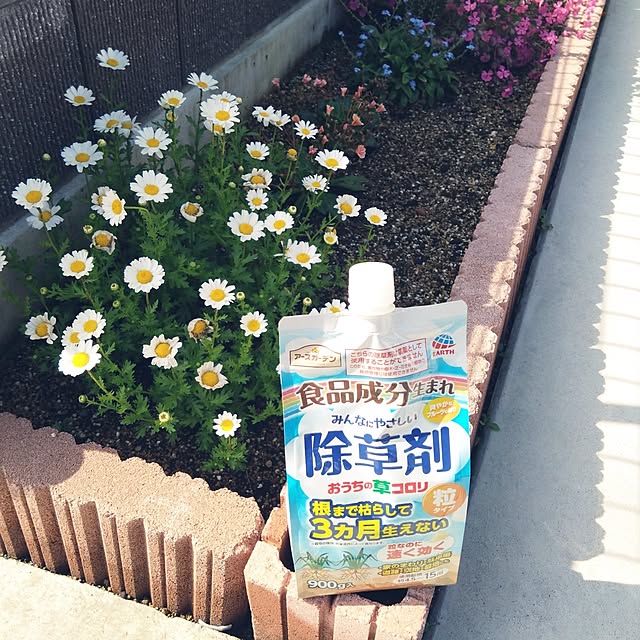 ayu---さんの実例写真
