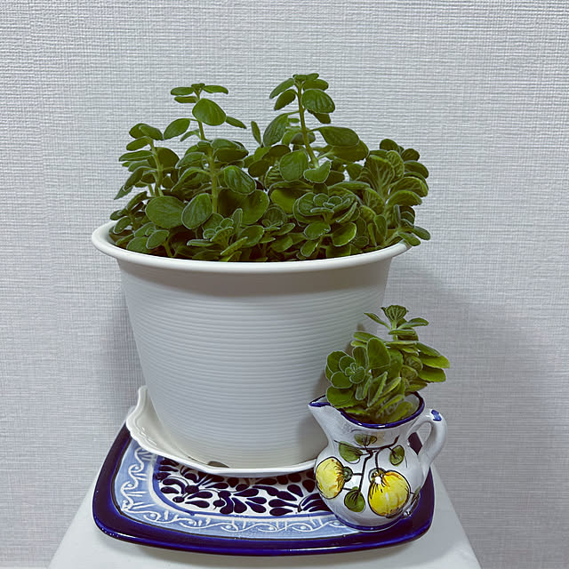 yoyoyoさんの部屋