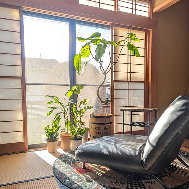 naoporonさんの部屋