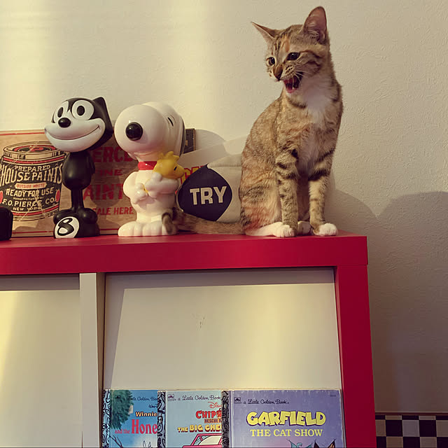 tarakoさんの実例写真