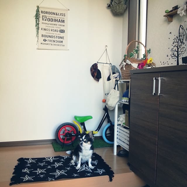 rponさんの実例写真