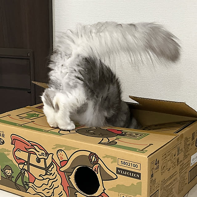cotoriさんの部屋