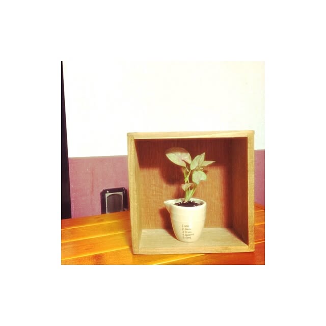 ____nkさんの実例写真