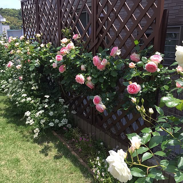 ren-hiroさんの実例写真