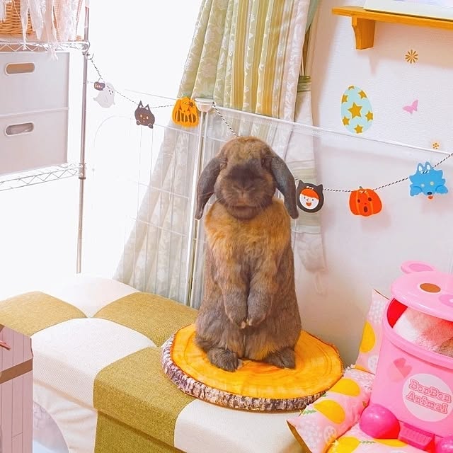 mariaさんの実例写真