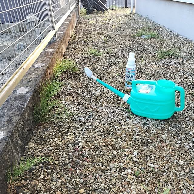 feuileさんの部屋