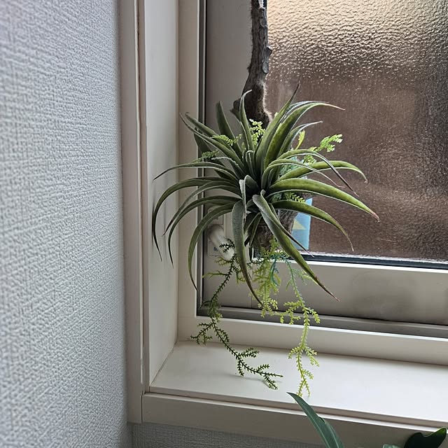 mutyukingさんの部屋
