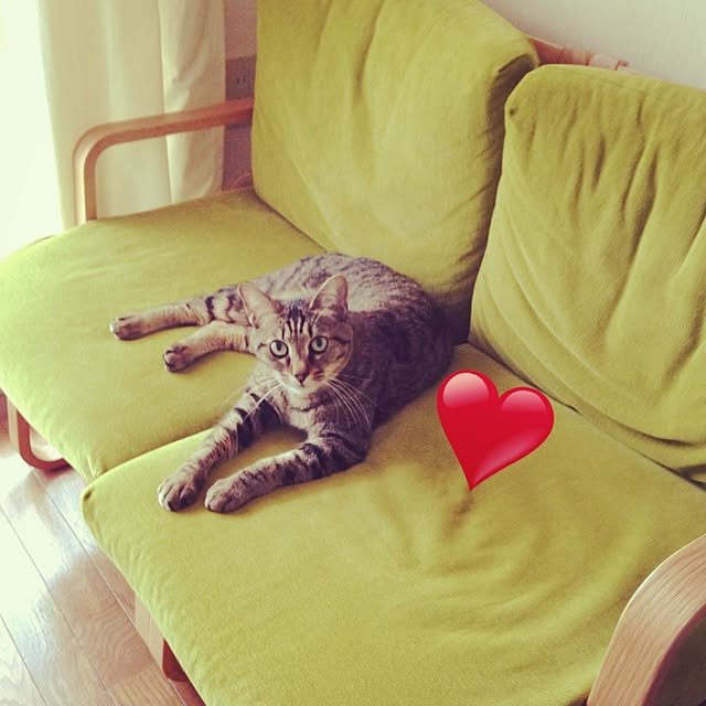 marigoroさんの実例写真