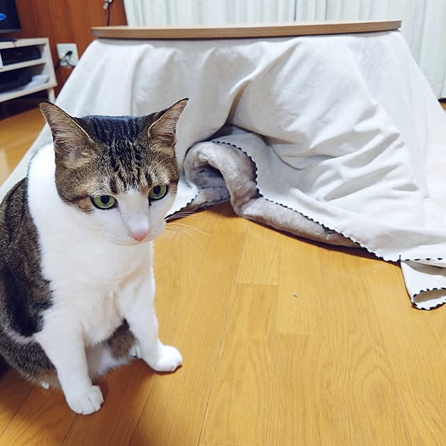 nachiさんの部屋