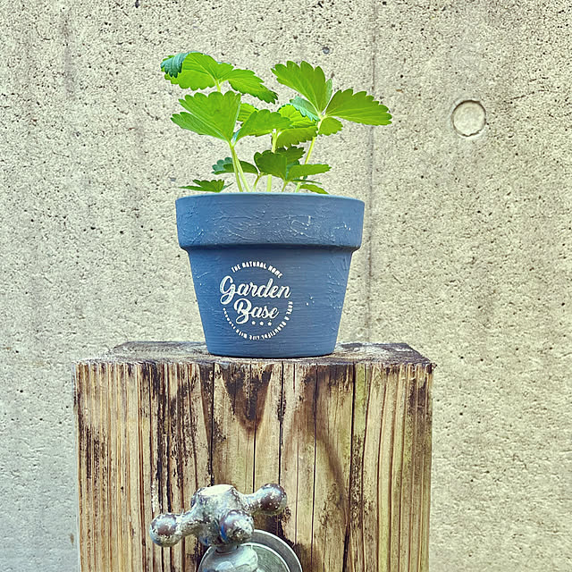 seiseiさんの実例写真