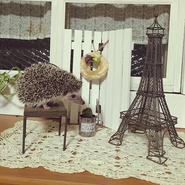 RURULOVEさんの実例写真