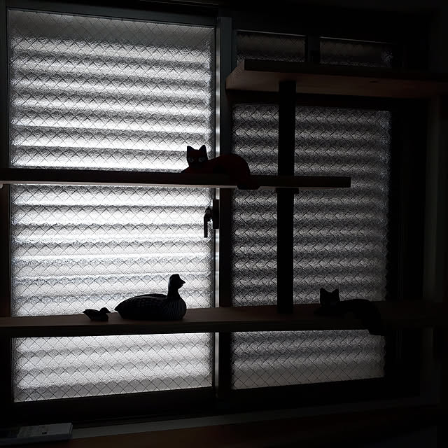 fyasukataさんの実例写真