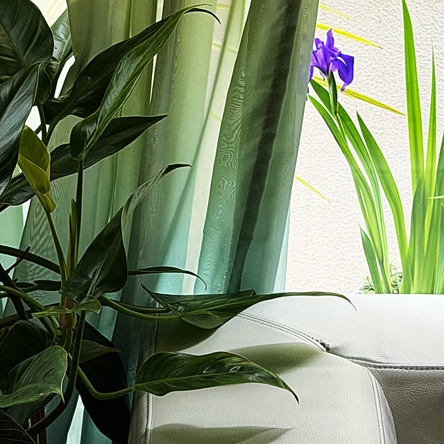 DAYONEさんの部屋