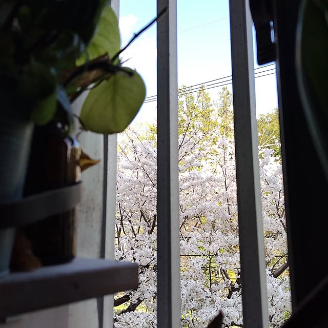 yuuu7712さんの実例写真