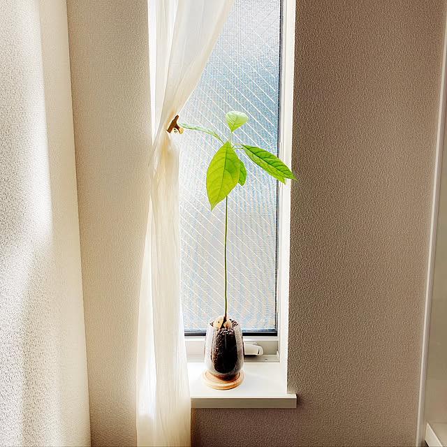 Aiさんの実例写真