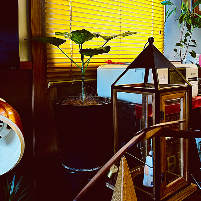 chacoさんの部屋