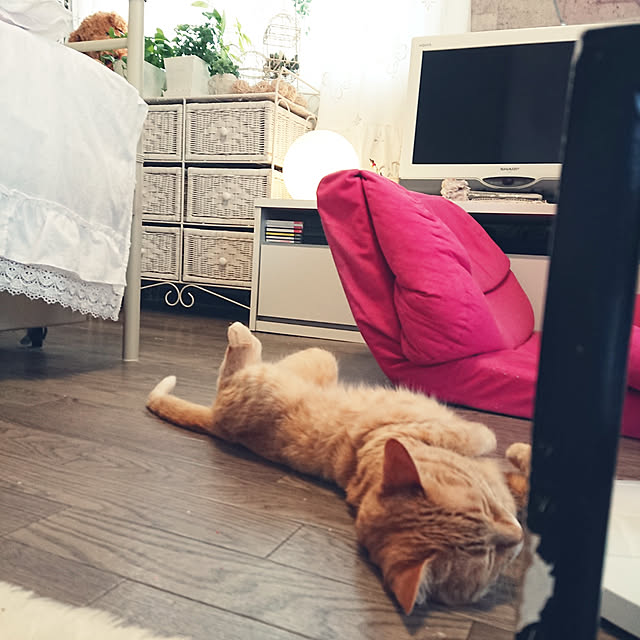 asuminさんの実例写真