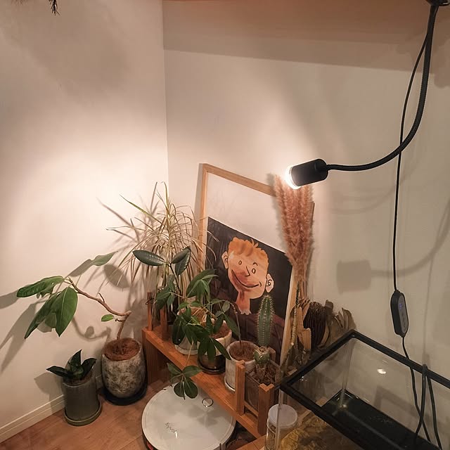 ayumiさんの部屋