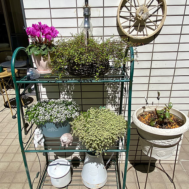 YuuKoさんの部屋