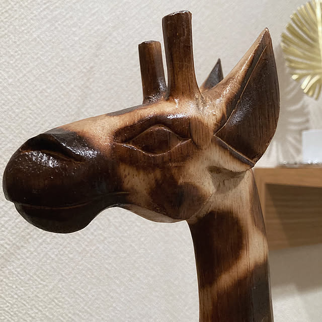 nepenthesさんの部屋