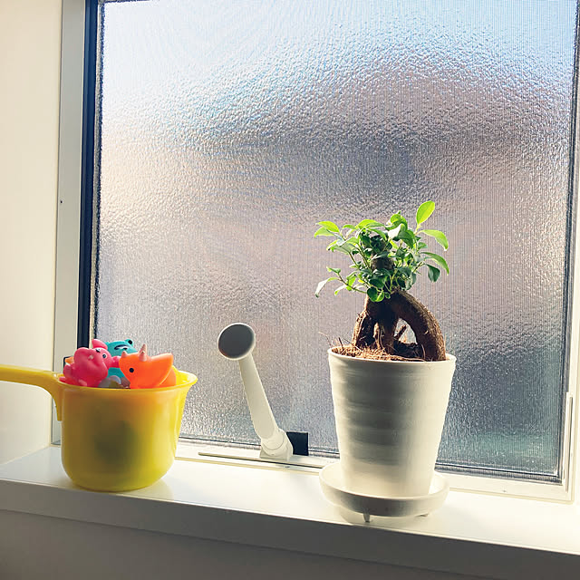3COINS/お風呂遊び/がじゅまるの木/こどものいる暮らし/観葉植物...などのインテリア実例 - 2022-03-16 00:23:51