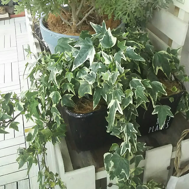 flannel.さんの実例写真