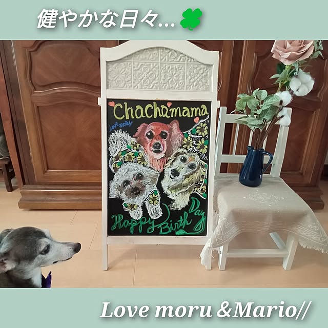 moruさんの部屋