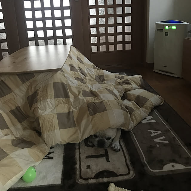 putih328さんの実例写真