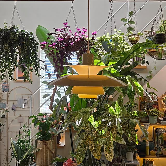 nonbiri_house_さんの実例写真