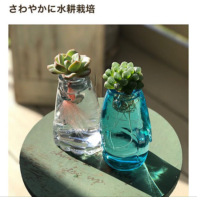 hamuさんの実例写真