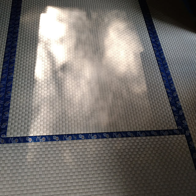 y.ebihara0811さんの実例写真