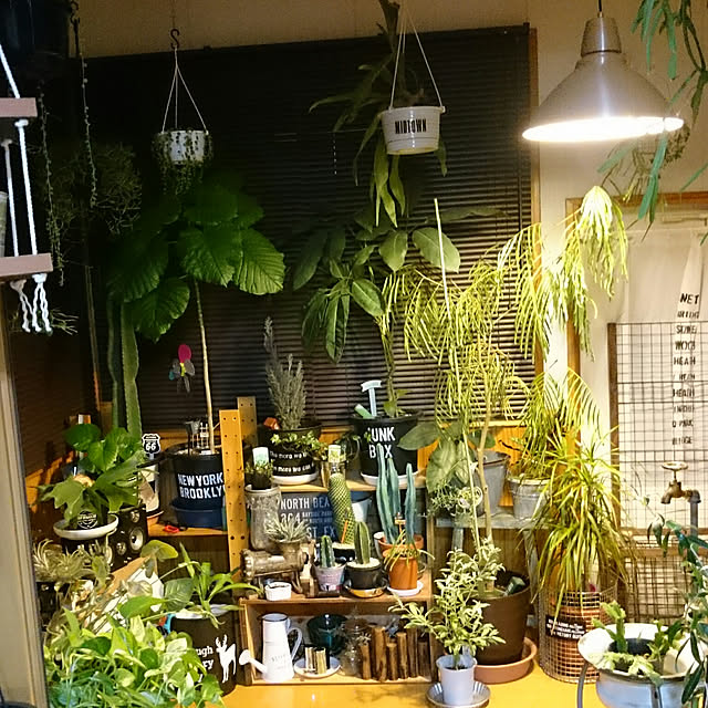 tikuwaさんの実例写真