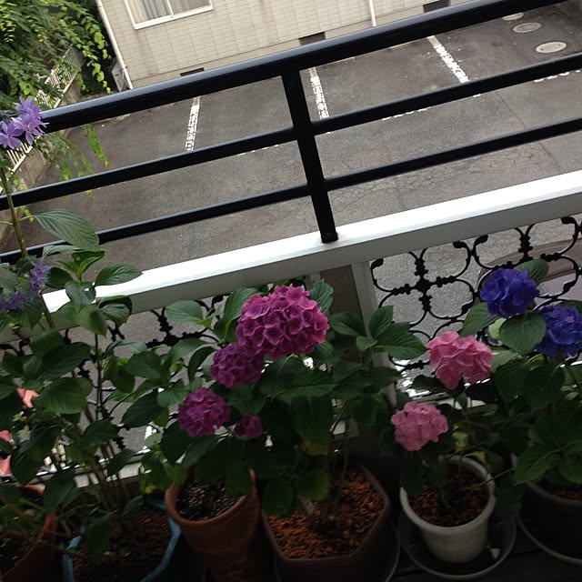 kimikoさんの実例写真