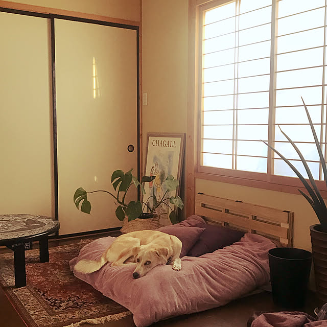 mm319さんの実例写真