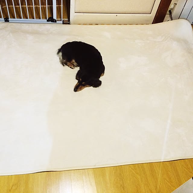 suzyさんの実例写真
