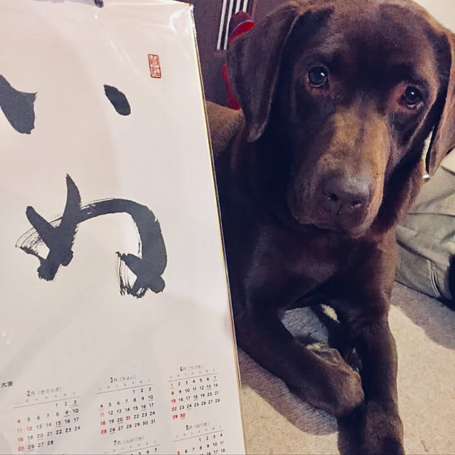 Emiさんの実例写真