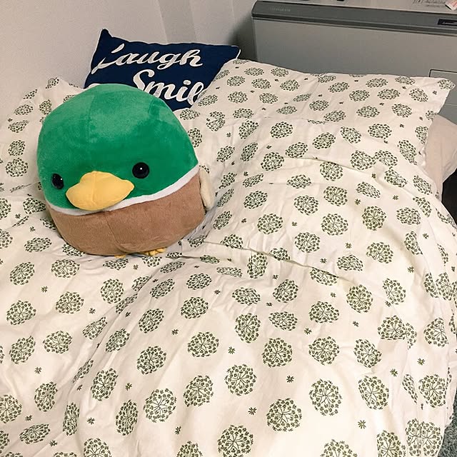 akihakonさんの実例写真