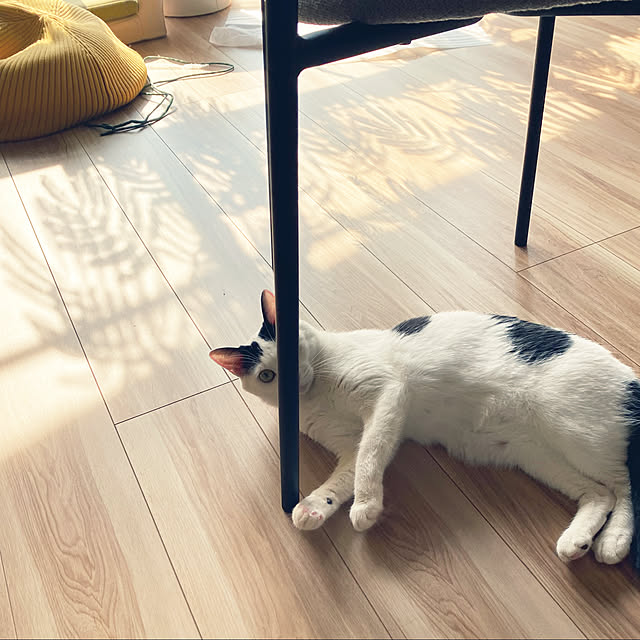 wakooさんの実例写真
